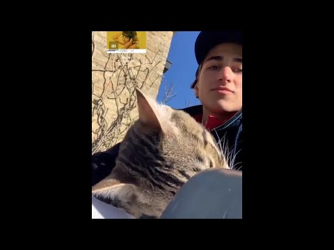 Sebastian Croft IG story