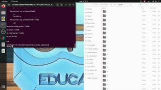 OpenFOAM Visualization: Flow Past a Cylinder in ParaView