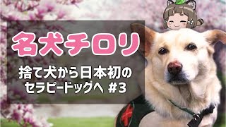 【ゆっくり解説】名犬チロリ～日本初のセラピードッグ～ #3