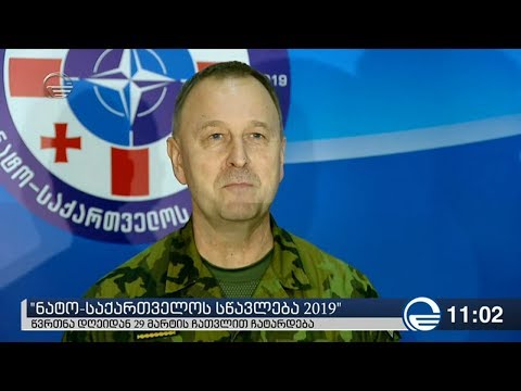 ,,ნატო-საქართველოს სწავლება 2019''