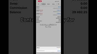 Mt5 trading bot working massively on broker account #forexea #automation #tradingbot #xauusdea #eas