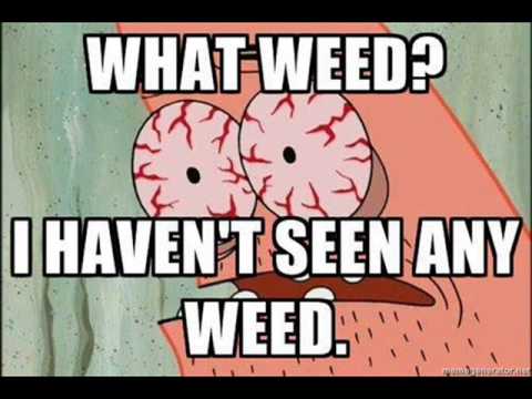 DJ Squidweed - where is the WEED?
