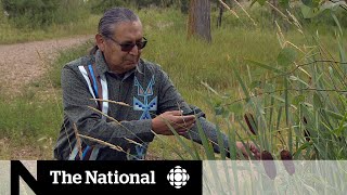 Indigenous students choose the outdoors over the classroom