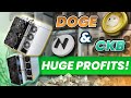 How much i am earning mining dogecoin and nervos ckb in 2024