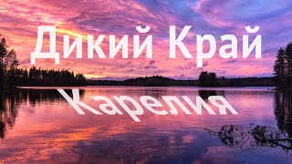 Around lake Ladoga, night in wild forest. Karelian taiga by Balto the Schipperke 478 views 5 years ago 4 minutes, 51 seconds