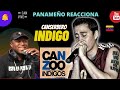 Indigo  canserbero  panameo reacciona rapvenezolano