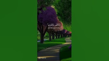 سورة البقرة🌹 يَأَيُّهَا الَّذِينَ ءَامَنُوا اسْتَعِينُوا بِالصَّبْرِ وَالصَّلَاةِ إِنَّ اللَّهَ مَعَ