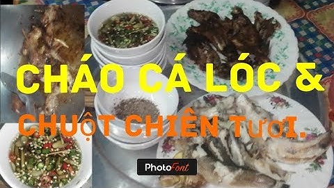 Nét Quê |Cháo Cá Lóc & Gừng Ớt Tiêu có kháng Corona không