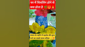 एक बेलपत्र और एक चावल का दाना चढ़ा कर जहां जाना है जाओ |#upay#pradeepmishra#pandit_pradeep_ji_mishra