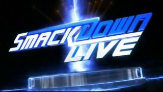 Famous WWE smackdown live pyro and after wwe TLC Wealth
