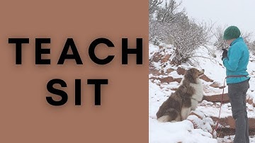 Teach Your Dog How to Sit - Using Luring & Capturing