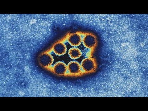 Could Climate Change Unleash Ancient Viruses? | The Rubin Report