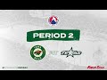Iowa Wild vs Texas Stars Game Highlights | 4.2.2025