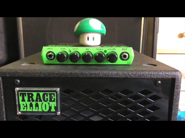Trace Elliot ELF + 1x10 Cabinet - Testing it with bass and upright