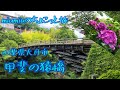 【女子旅】日本三大奇橋　甲斐の猿橋　紫陽花プロムナード  4K