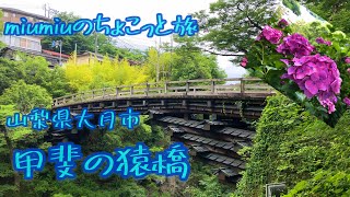 【女子旅】日本三大奇橋　甲斐の猿橋　紫陽花プロムナード  4K