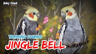 HOW TO TRAIN COCKATIELS SOUND | COCKATIEL WHISTLING JINGLE BELLS