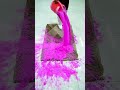 Deep Carpet Cleaning Satisfaction Guaranteed