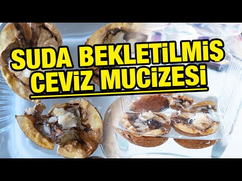 Suda bekletilmiş ceviz mucizesi! Bir gece suda bekletip içerseniz... Ceviz suyu faydaları