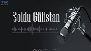 SOLDU GÜLİSTAN  l YENİ TÜRKÇE NEŞİD l 2022