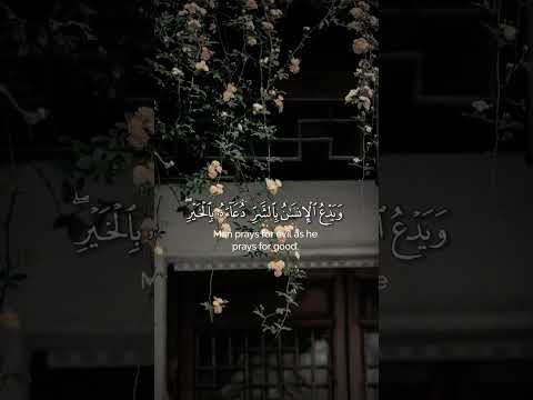 ويدع الإنسان بالشر دعاءه بالخير الشيخ محمد صديق المنشاوي المنشاوي