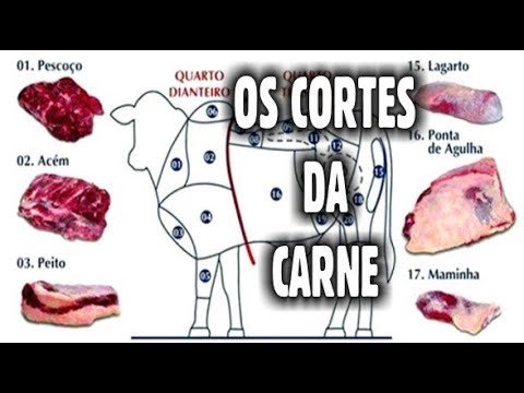 Vídeo: Que Carne é Chamada De Boi