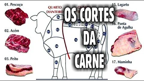Em que parte do boi fica?