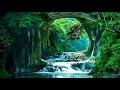 Natural green scenery, refreshing! (HD1080p)