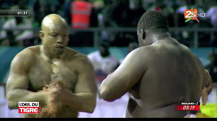 Intégralité combat Zarko vs Gris Bordeaux - Les Conseils de Bécaye Mbaye à Gris et à l'écurie Fasse