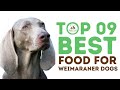 Best Food for Weimaraner Dogs