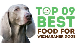 Best Food for Weimaraner Dogs