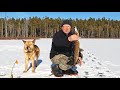 Рыбалка в Карелии. Чуть не пролетел при диком клёве щуки.