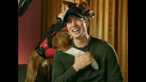 Clips of Chris Evans & Henry from Superpower Dogs