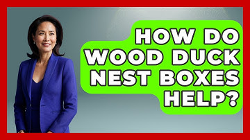 How Do Wood Duck Nest Boxes Help? - Bird Watching Diaries
