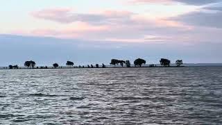 Beautiful Lake and Trees on Small Island (Narrated by my Wife)