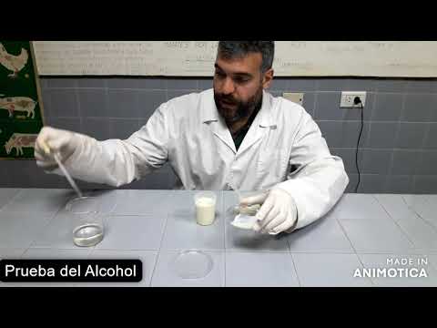 Hace La Prueba De Punto De Pre-Empleo Para El Alcohol