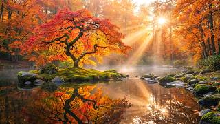 Autumn Serenity Piano 🍁 Relaxing Piano Music with Golden Maple Tree for Deep Relaxation & Sleep