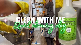 FIRST CLEAN IN THE NEW HOUSE | Music only REAL TIME CLEANING | CLEAN & BEAUTIFUL HOME