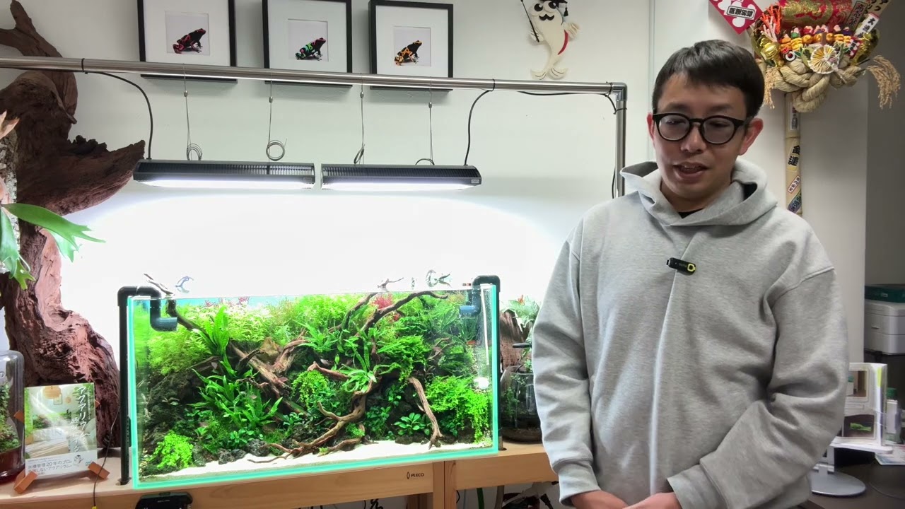 水槽をいつもキレイに！ Tips for installing a stylish and easy-to-maintain aquarium at
