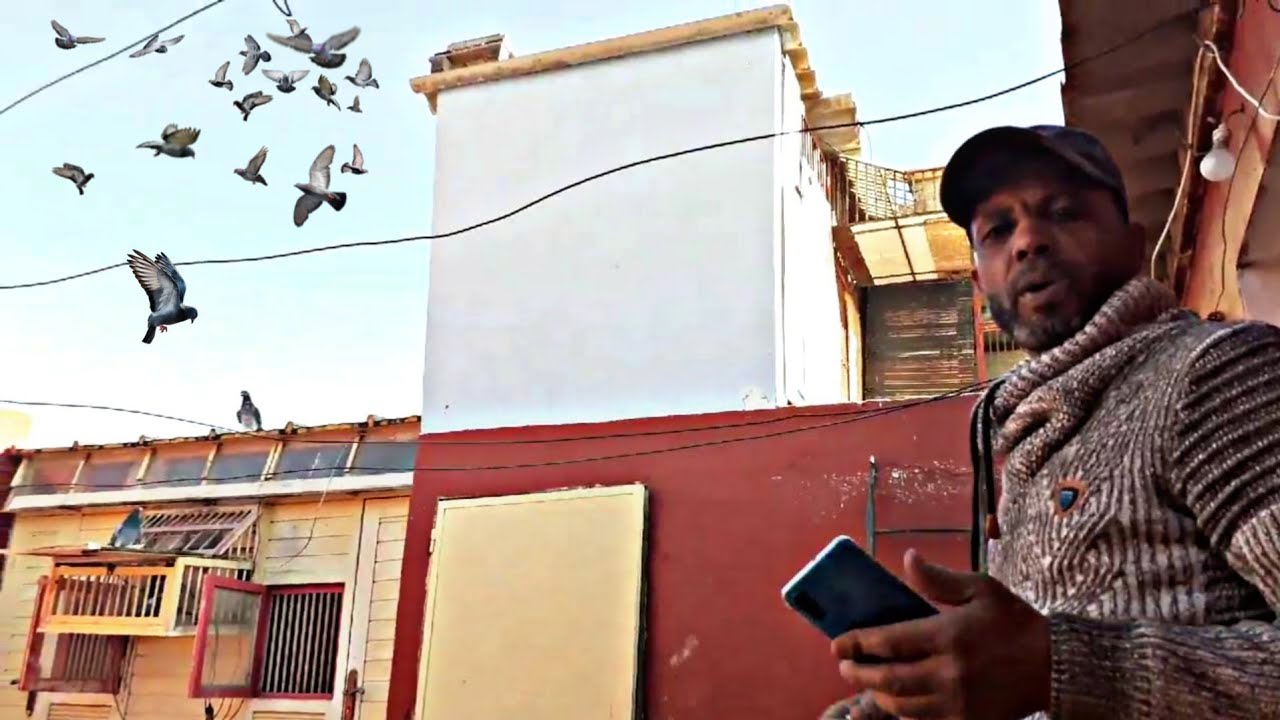 دخول الحمام من مسابقة خميس الزمامرة عند أخوكم رضوان أزولاي