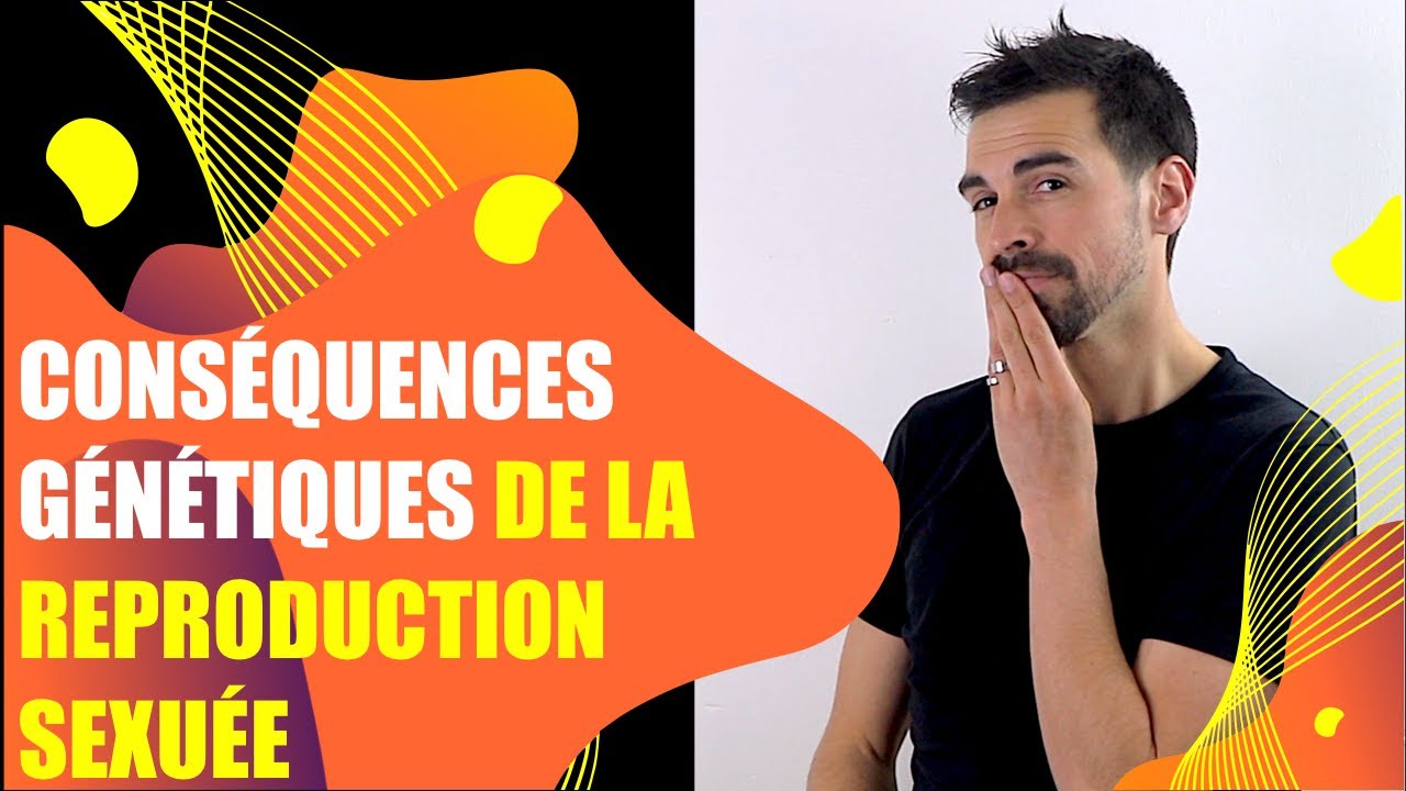 COURS DE TERMINALE SPÉCIALITÉ SVT : CHAP.2: LES CONSÉQUENCES GÉNÉTIQUES DE LA REPRODUCTION SEXUÉE