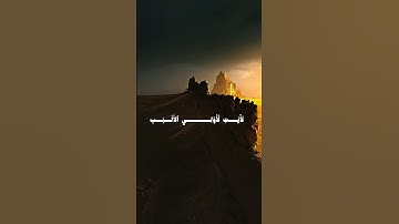 ﴿سورة آل عمران 191﴾ || القارئ عمر ضياء الدين
