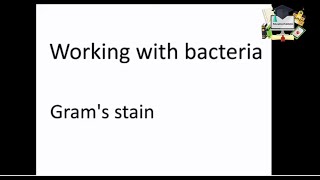 Gram Stain- Hands-on lab