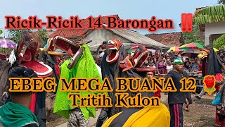RICIK-RICIK 14 BARONGAN EBEG MEGA BUANA 12 🌹MENDEMAN ‼️