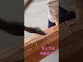 宮大工の道具 ちょうなを使って丸柱を成形してみた。