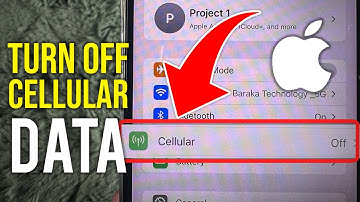 How To Turn Off Cellular Data for Certain Apps on iPhone - Full Guide