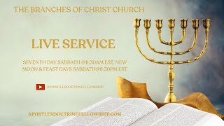 New Moon Service: Exodus 23:13 No Mention Of Other Gods, What’s The Context?