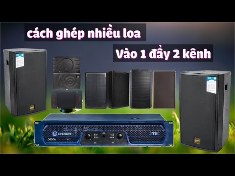 Video cách đấu 4 loa vào 1 đẩy 2 kênh hiệu quả nhất không sợ... - youtube