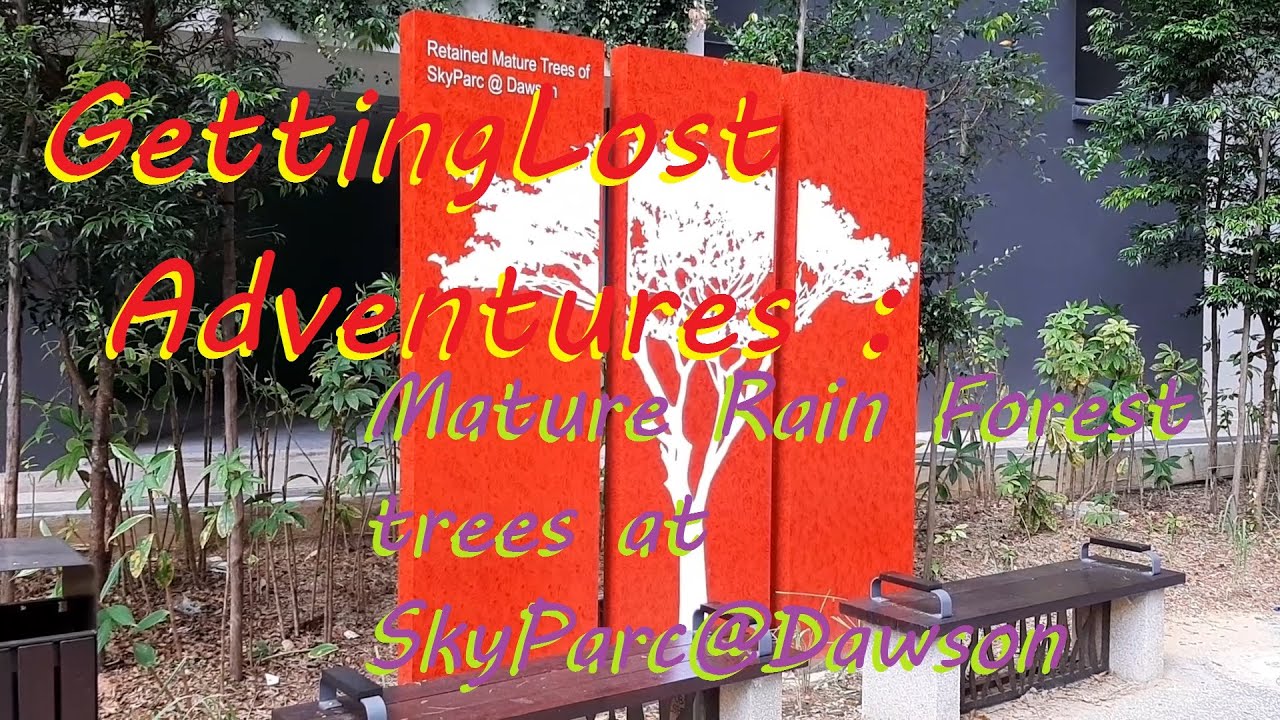 GettingLost Adventures : Finding Mature Trees at Skyparc@Dawson