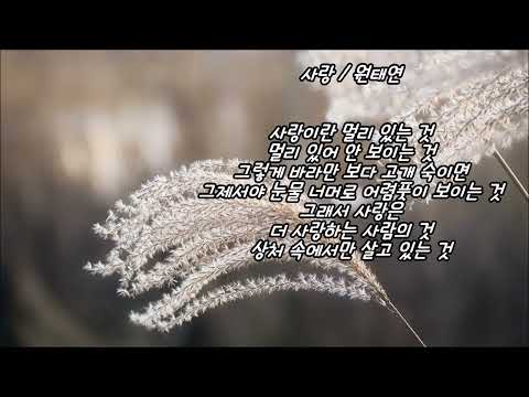 조용필 - 인생이 장미꽃이라면